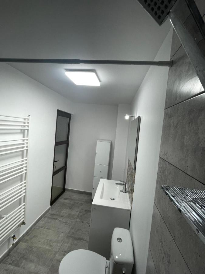 Apartmán Casa Dan Buzău Exteriér fotografie