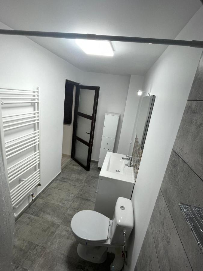 Apartmán Casa Dan Buzău Exteriér fotografie